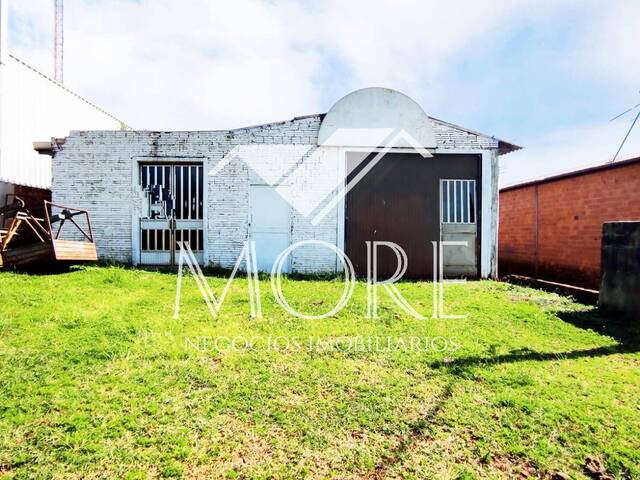 #17 - Galpão para Venda em Santa Rosa - RS - 3