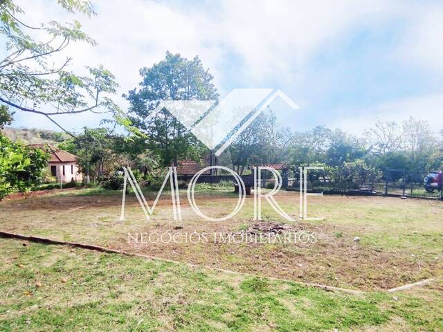#50 - Área para Venda em Santa Rosa - RS - 3