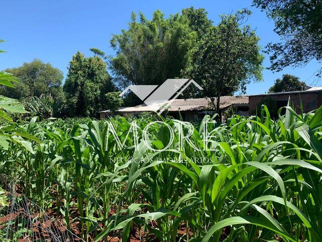 #100 - Área para Venda em Santa Rosa - RS - 2