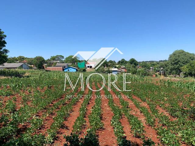 #102 - Área para Venda em Santa Rosa - RS