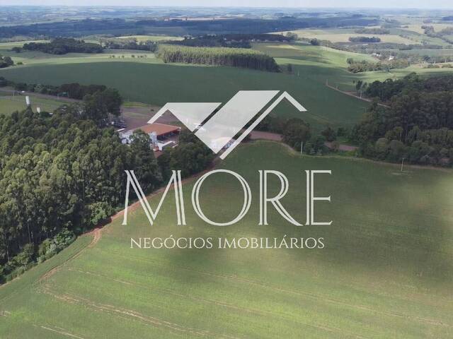 Chácara para Venda em Santa Rosa - 4