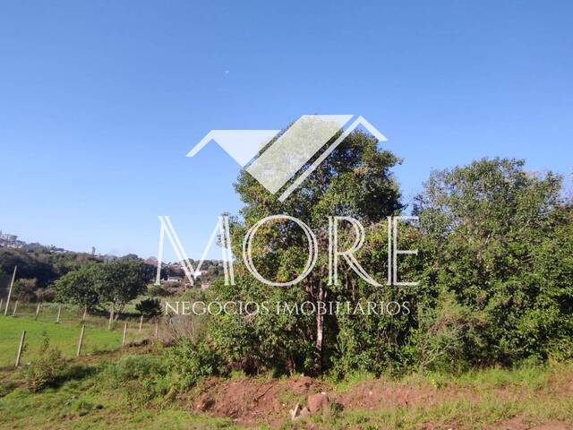#316 - Área para Venda em Santa Rosa - RS