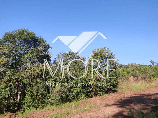 Área para Venda em Santa Rosa - 4