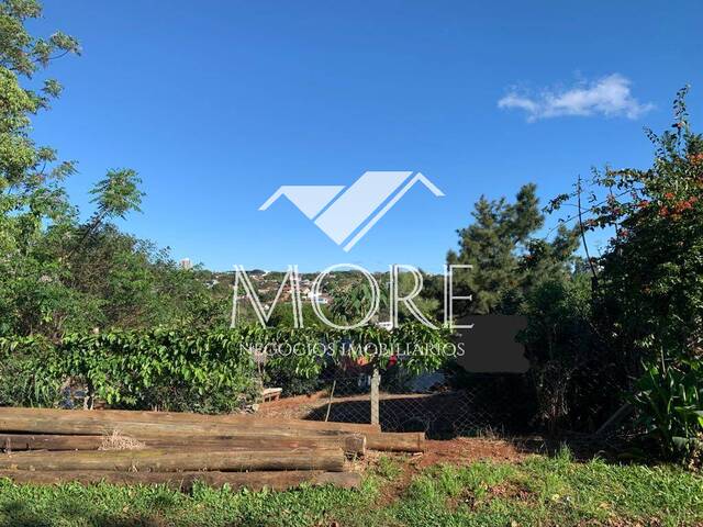 #397 - Área para Venda em Santa Rosa - RS - 1