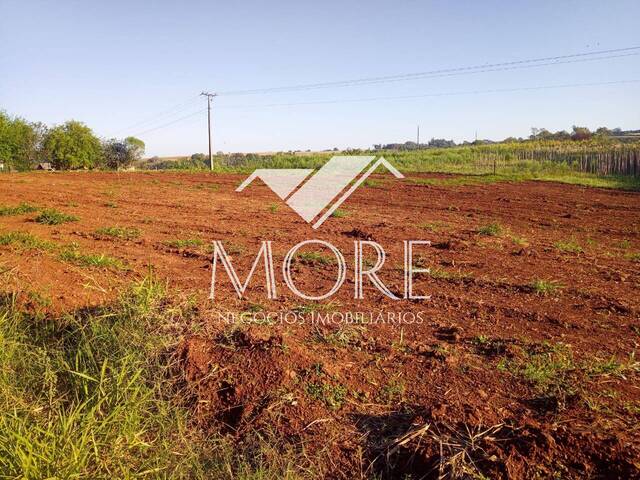 Terreno para Venda em Santa Rosa - 4