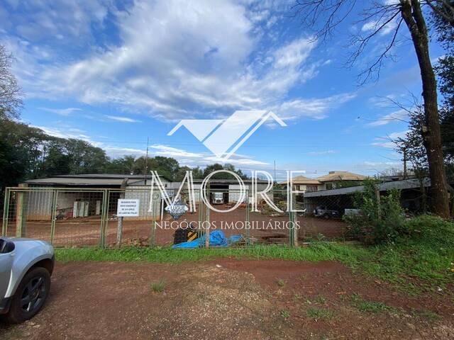 #576 - Galpão para Lançamento em Santa Rosa - RS - 3