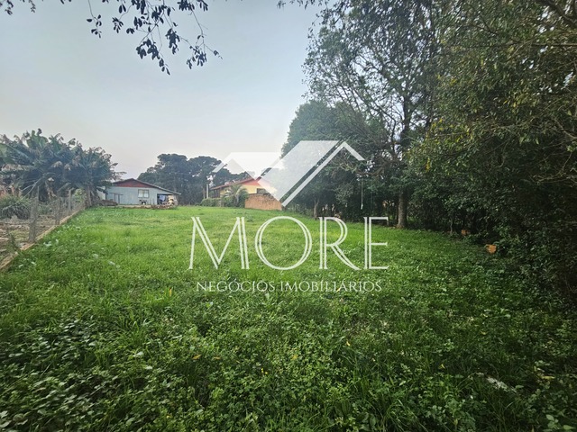 Terreno para Venda em Santa Rosa - 5