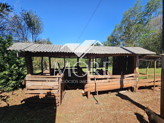 Chácara para Venda em Santa Rosa - 5