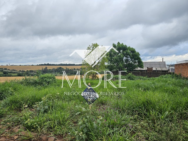 #664 - Terreno para Venda em Santa Rosa - RS - 2