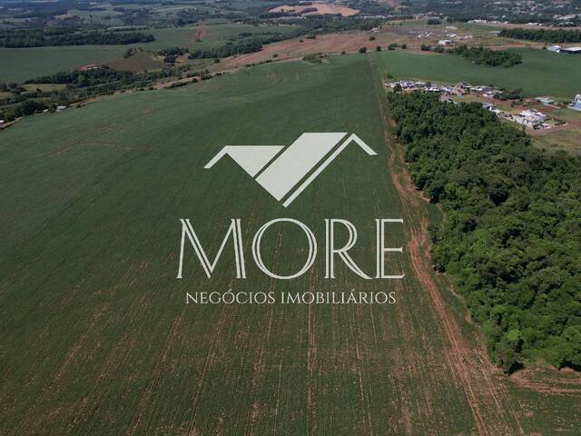#690 - Terreno para Venda em Santa Rosa - RS - 2