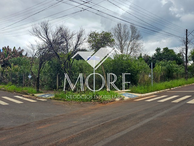 #890 - Terreno para Venda em Santa Rosa - RS - 3