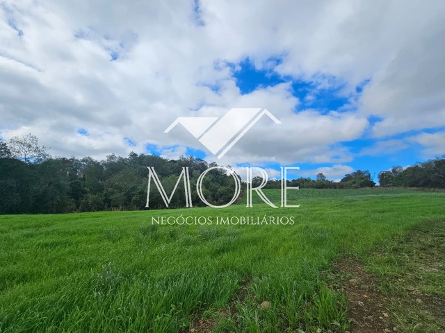 #900 - Área para Venda em Campina das Missões - RS - 3