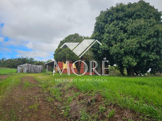 #900 - Área para Venda em Campina das Missões - RS - 1