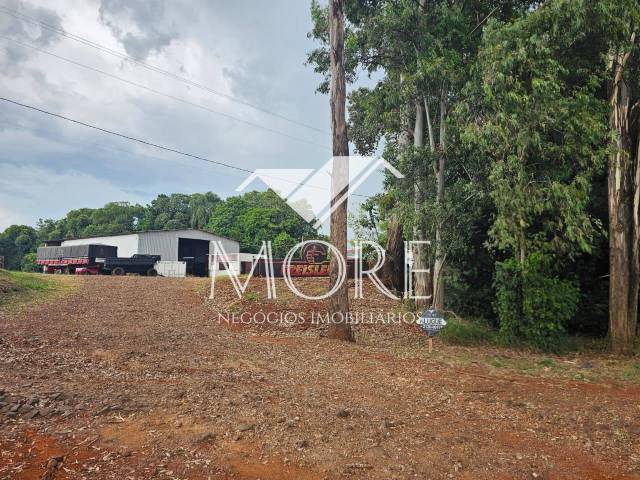 #980 - Sala para Locação em Santa Rosa - RS - 2