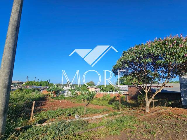 #998 - Terreno para Venda em Santa Rosa - RS - 3