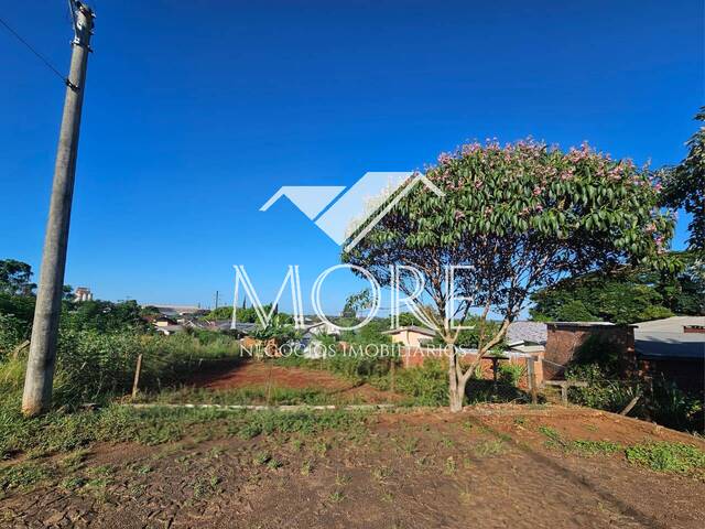 #998 - Terreno para Venda em Santa Rosa - RS - 2