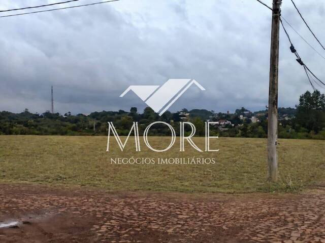 Terreno para Venda em Santa Rosa - 2